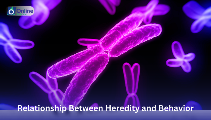 Lesson 03: Relationship Between Heredity and Behavior